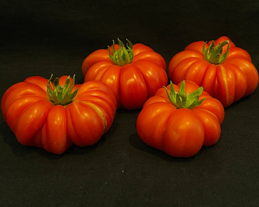 Seeds:‎‎ Tomato - Costoluto Genovese