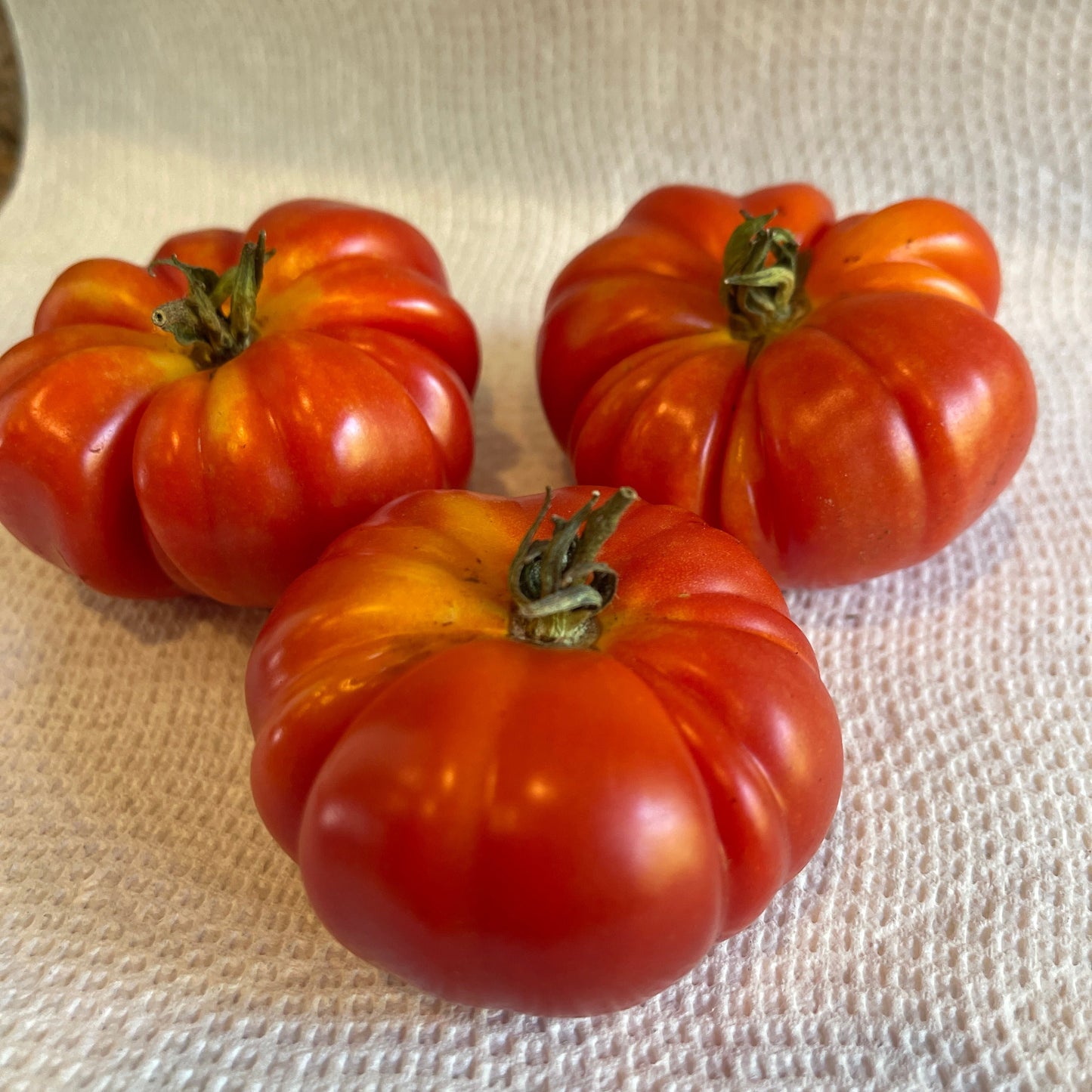 Seeds:‎‎ Tomato - Costoluto Genovese
