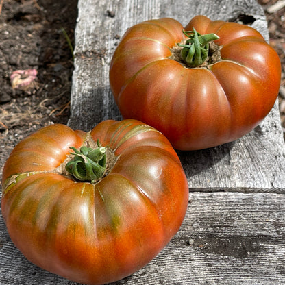Seeds:‎ Tomato - Cowboy
