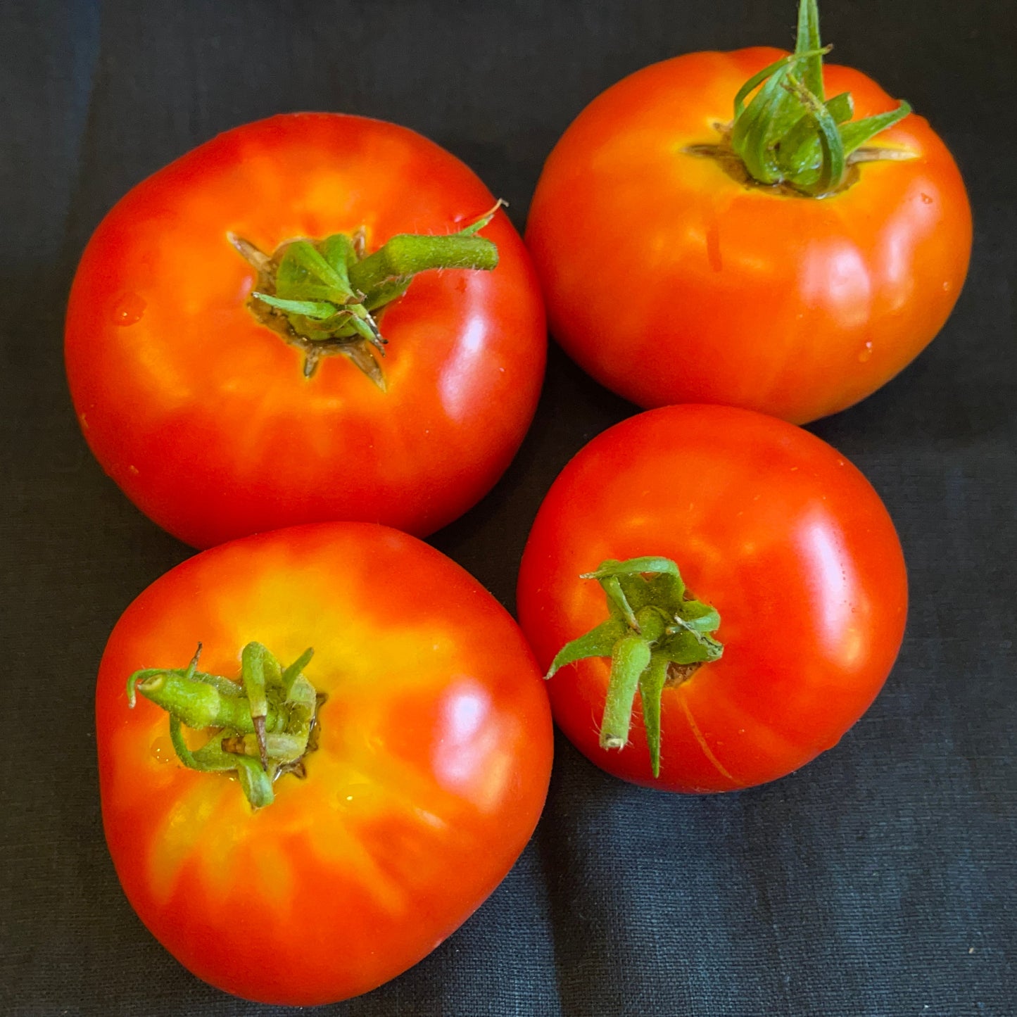 Seeds:‎ Tomato - Creole