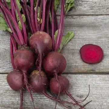 Veg Plant: Beet seedlings