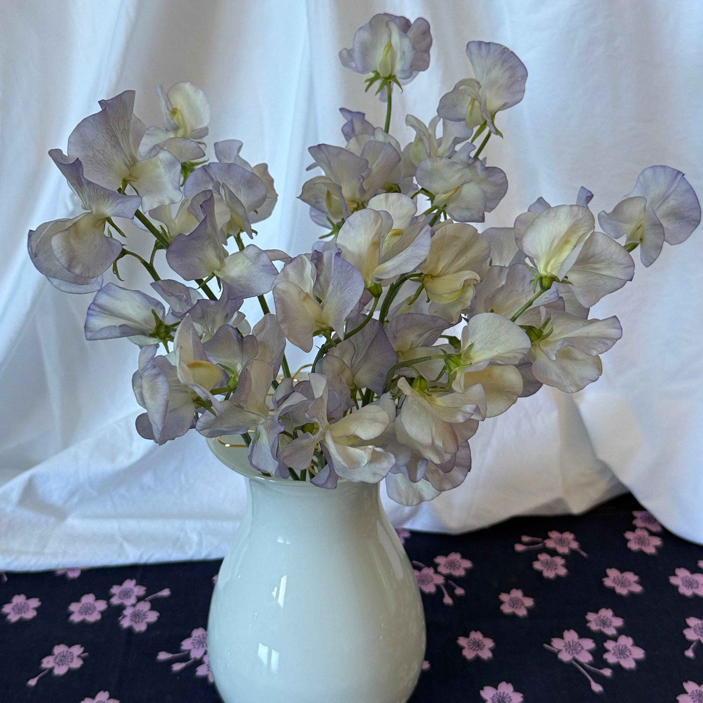 Sweet Pea Seeds: Dragonfly