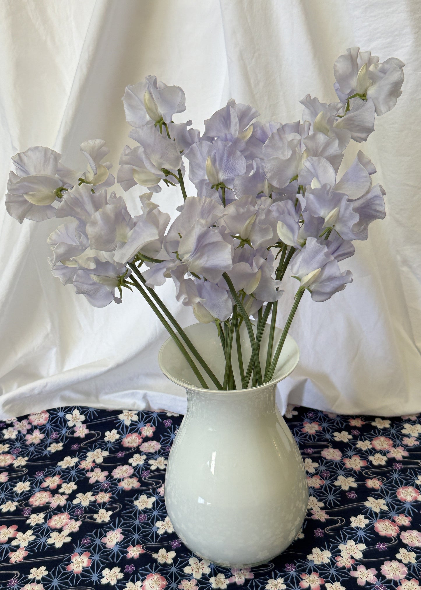 Sweet Pea Esme Rowena - Sugar Moon Gardens