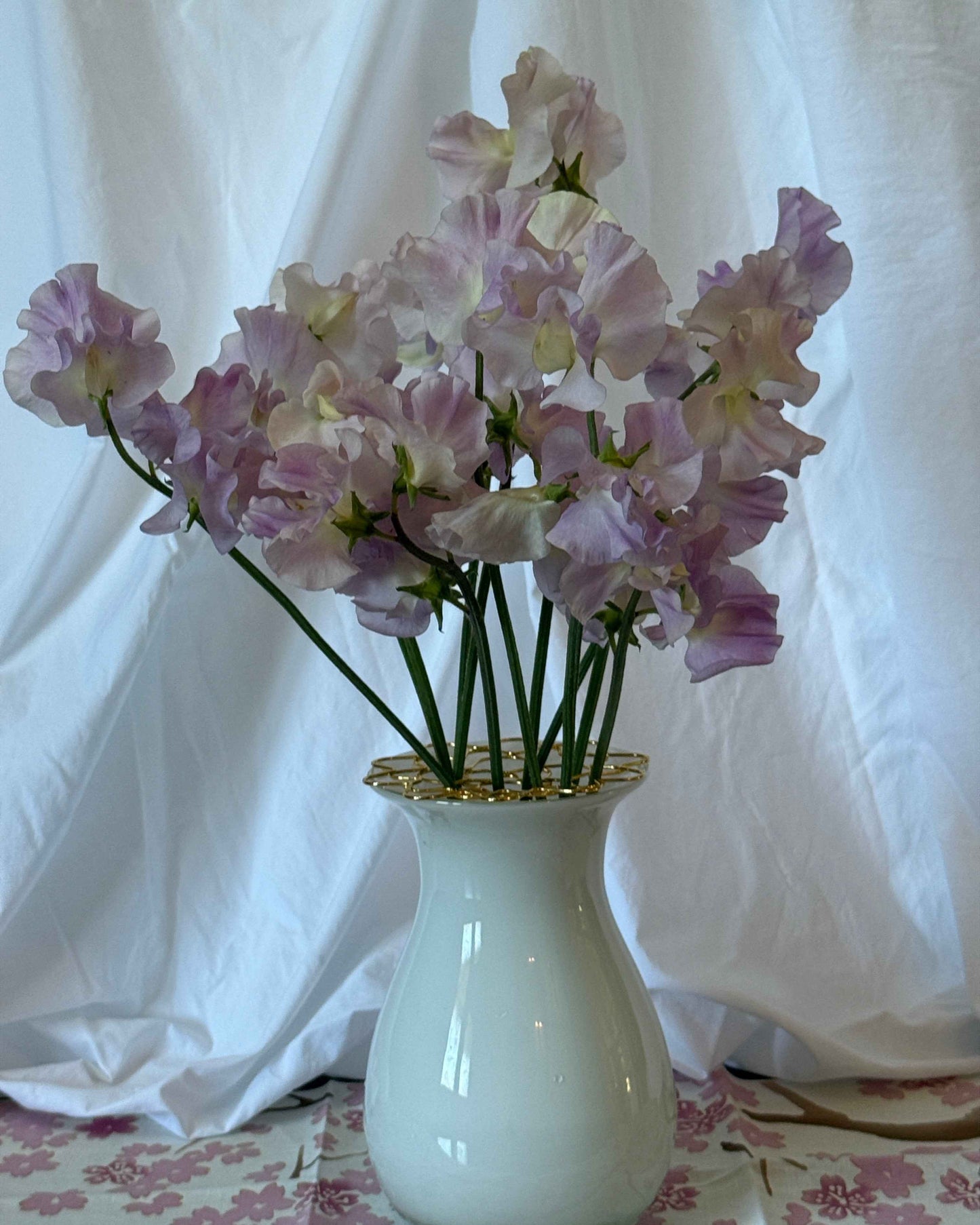 Sweet Pea Seeds: Gerry Cullinan