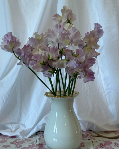 Sweet Pea Seeds: Gerry Cullinan