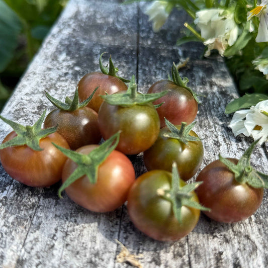 Seeds:‎ Tomato - Hungry Like the Wolf