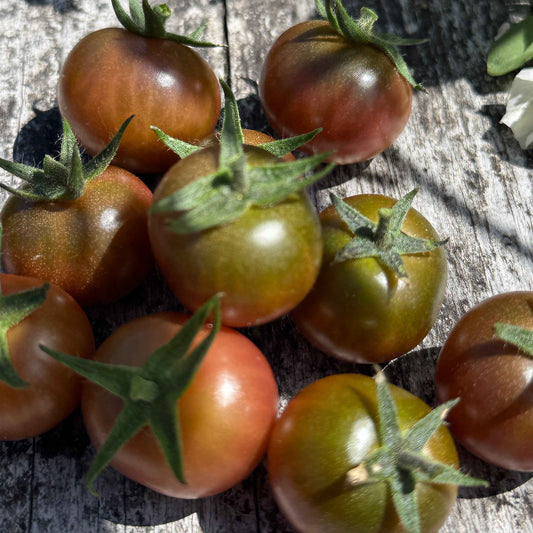 Seeds:‎ Tomato - Hungry Like the Wolf