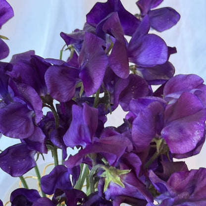 Sweet Peas King Size Navy - Sugar Moon Gardens