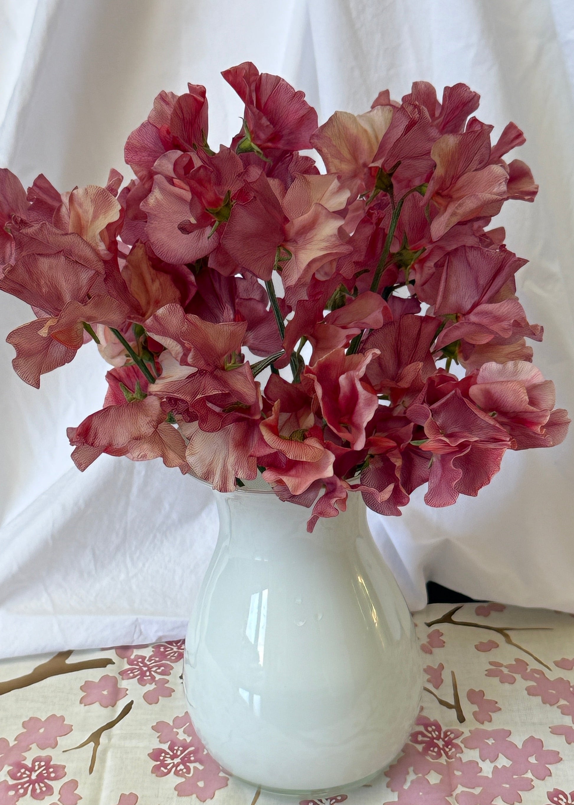Sweet Peas King's Ransom - Sugar Moon Gardens