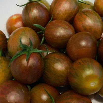 Veg Plant: Tomato - Cherry collection
