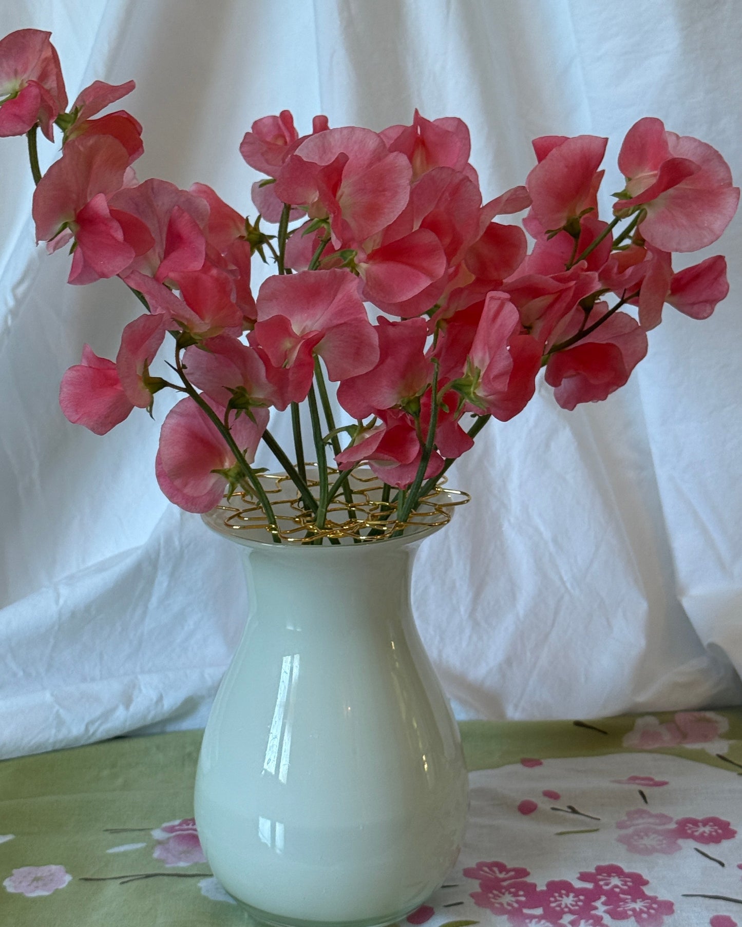 Sweet Peas Maloy- Sugar Moon Gardens