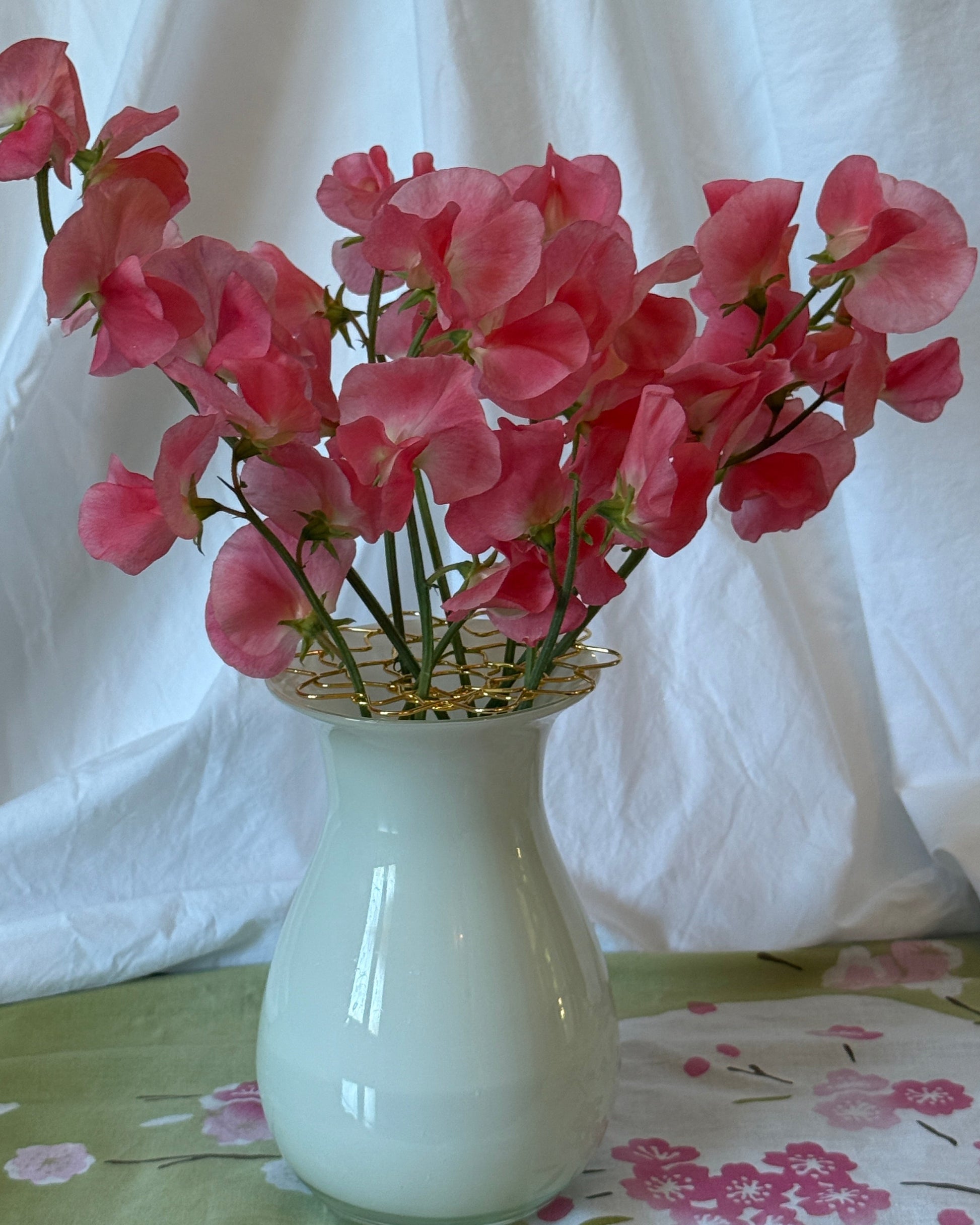Sweet Peas Maloy- Sugar Moon Gardens