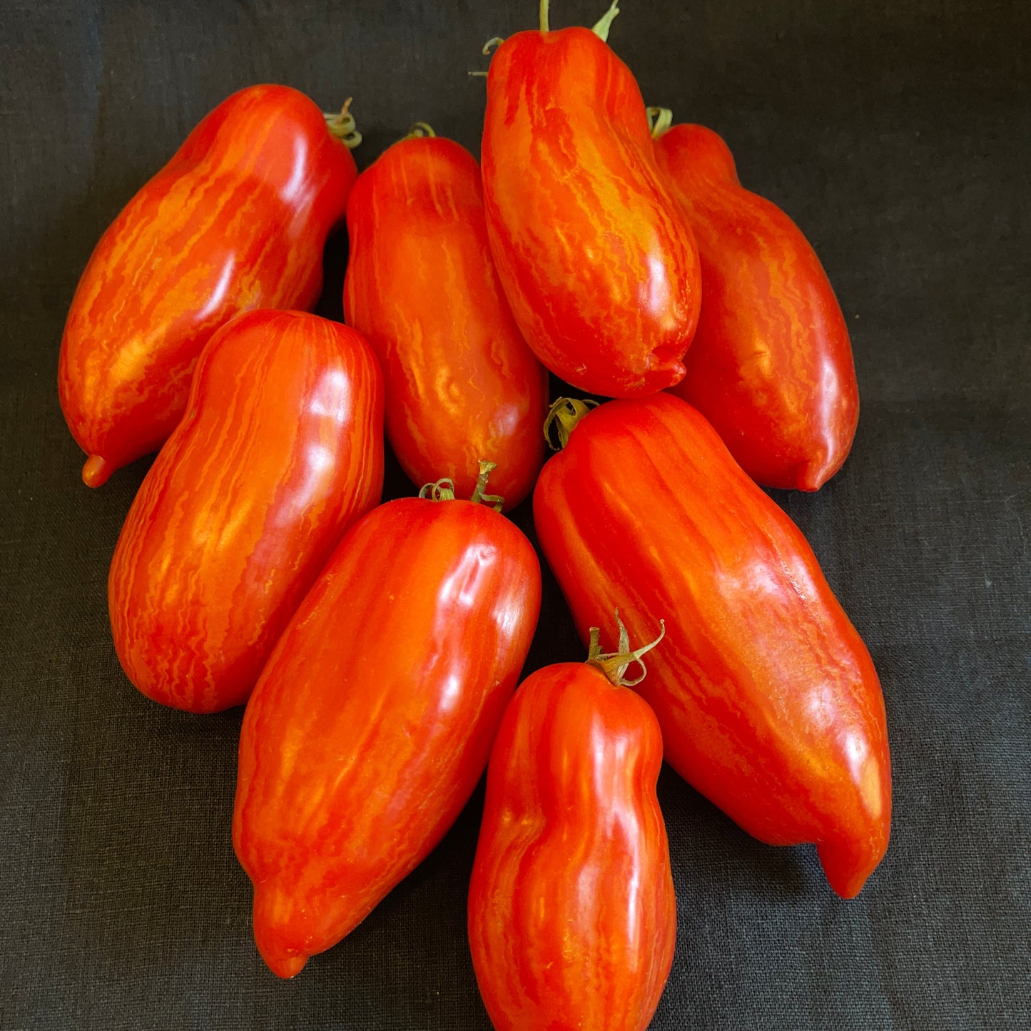 Seeds:‎‎ Tomato - Marzano Fire (paste)