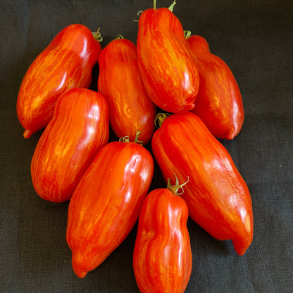 Seeds:‎‎ Tomato - Marzano Fire (paste)