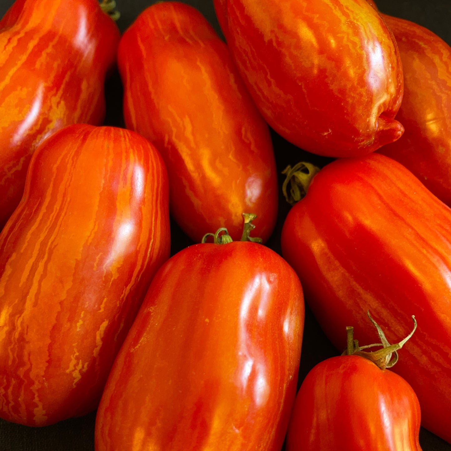 Seeds:‎‎ Tomato - Marzano Fire (paste)