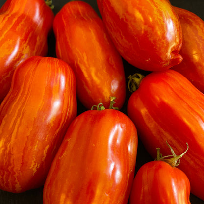 Seeds:‎‎ Tomato - Marzano Fire (paste)