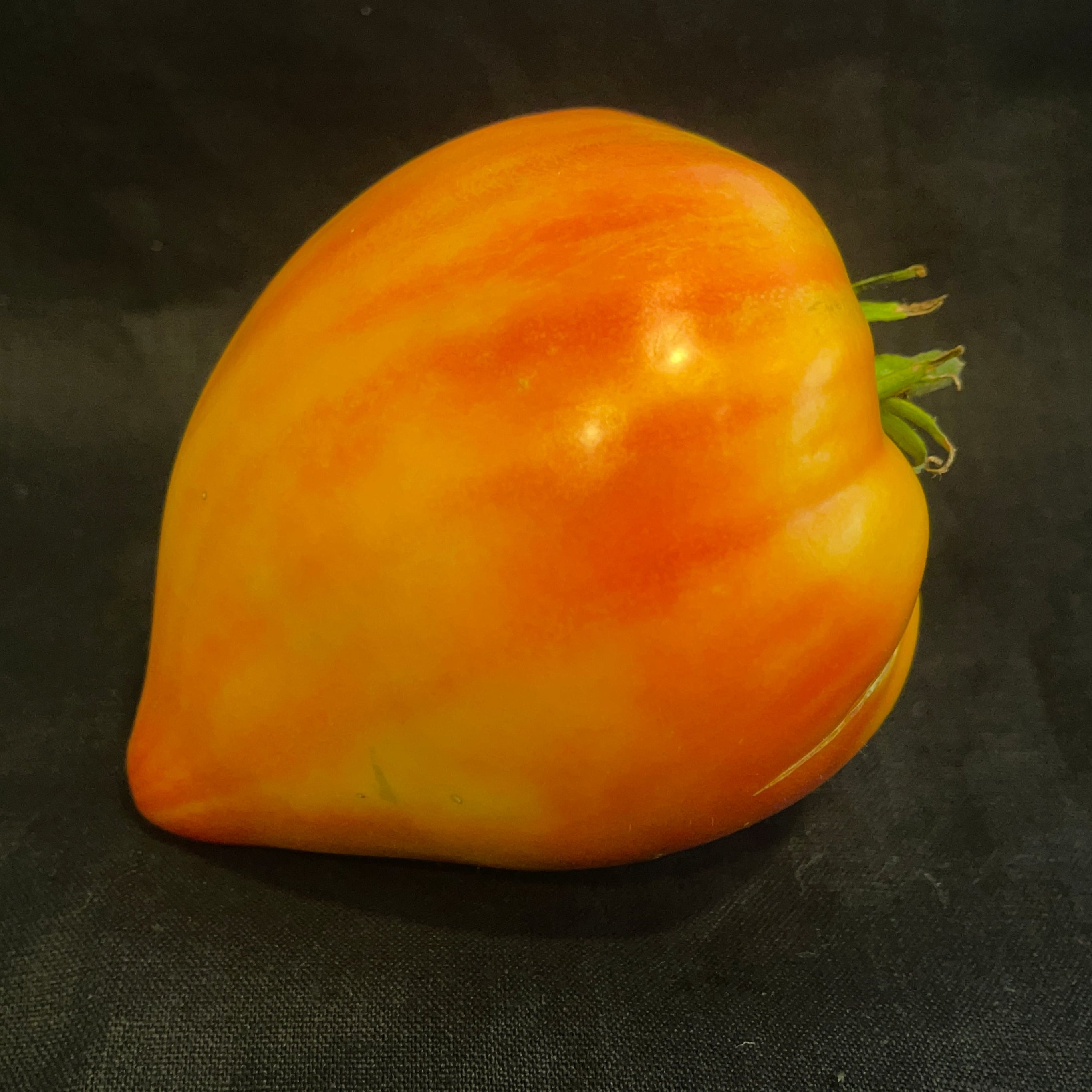 Seeds:‎ Tomato - Midnight Sun - Sugar Moon Gardens