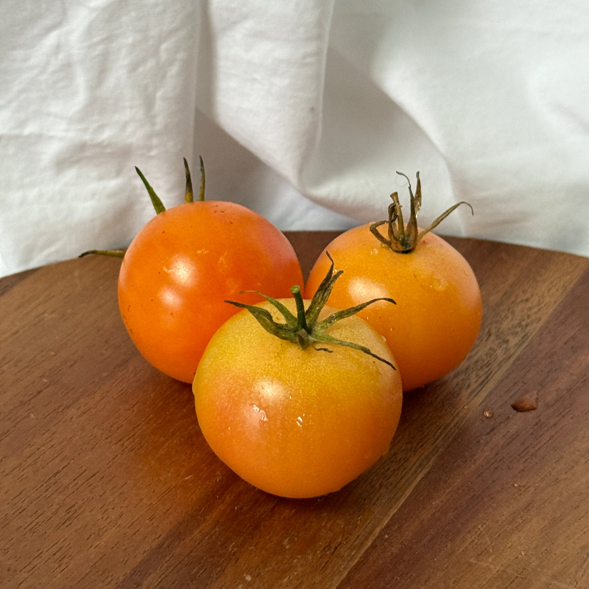 Seeds: Tomato - MoonChild, Sugar Moon Gardens