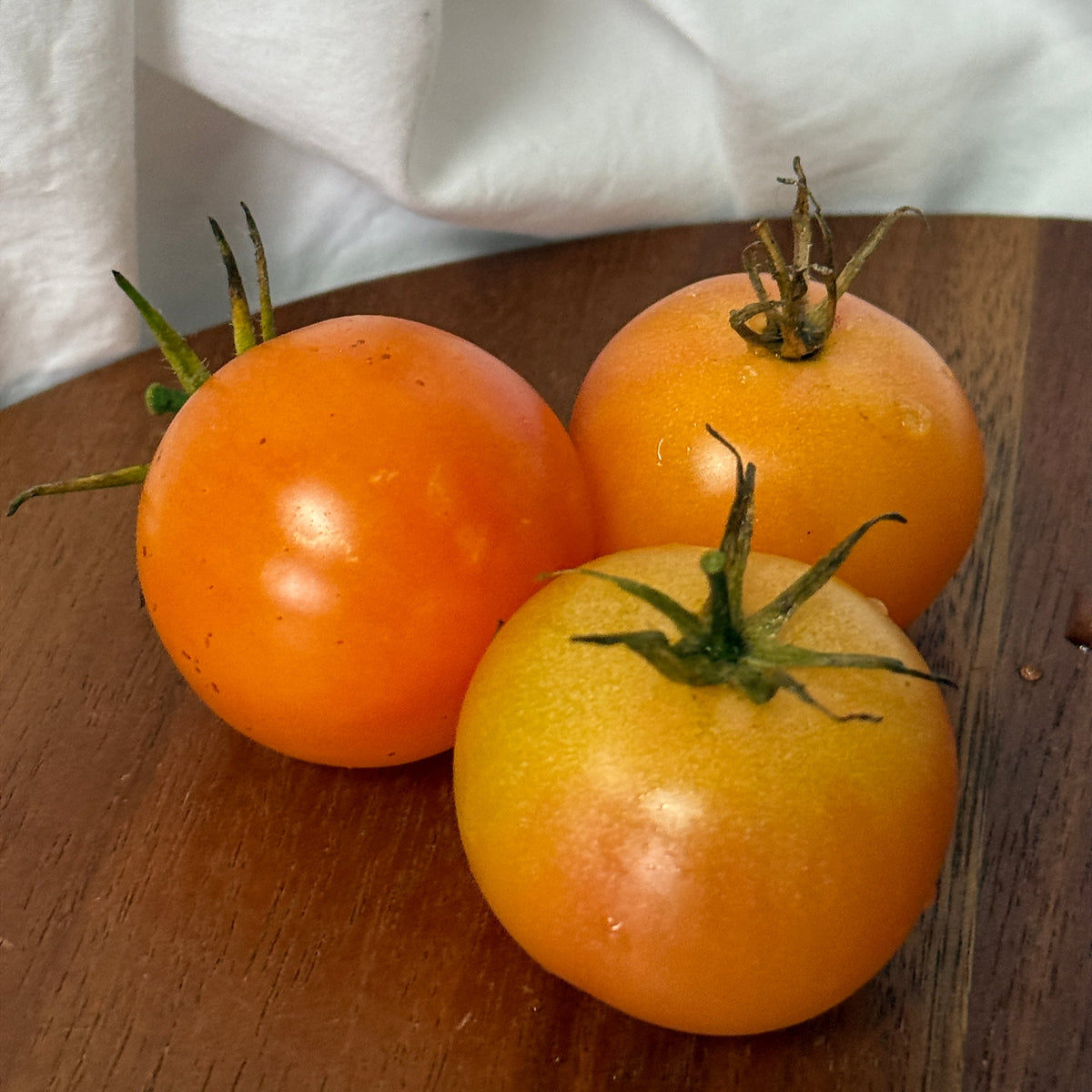 Seeds: Tomato - MoonChild, Sugar Moon Gardens