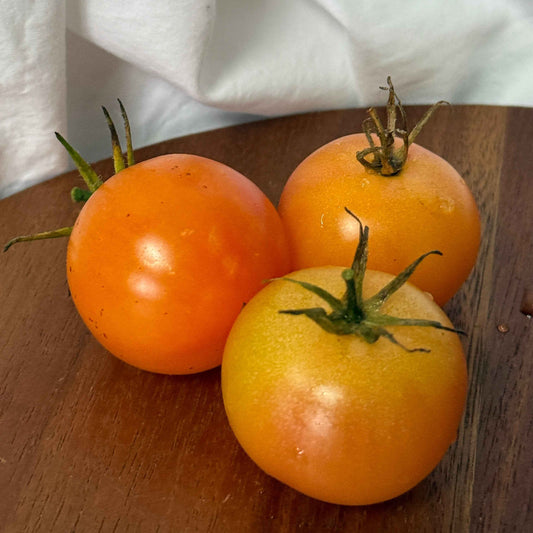 Seeds:‎ Tomato - MoonChild