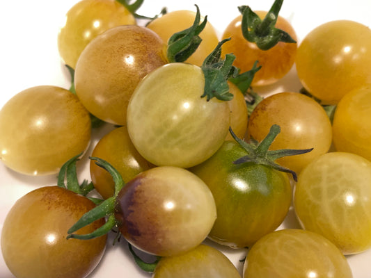 Seeds:‎ Tomato - Napa Chardonnay (cherry)