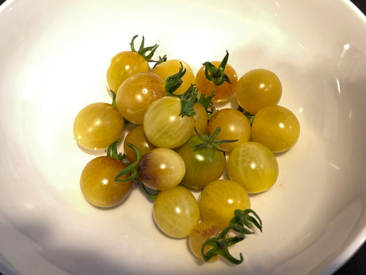 Seeds:‎ Tomato - Napa Chardonnay (cherry)