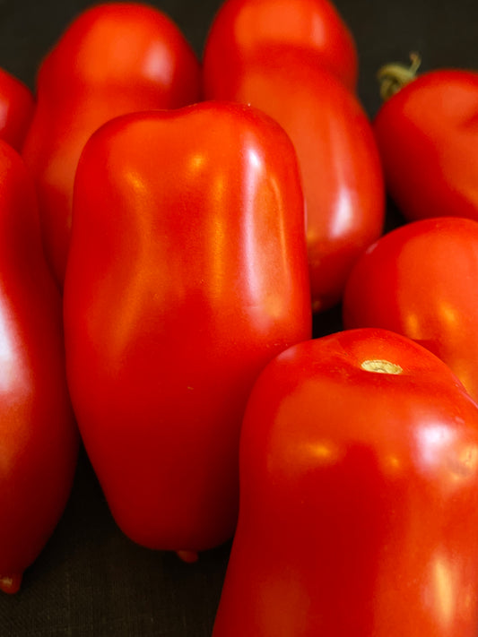 Seeds:‎‎ Tomato - Oroma (paste)