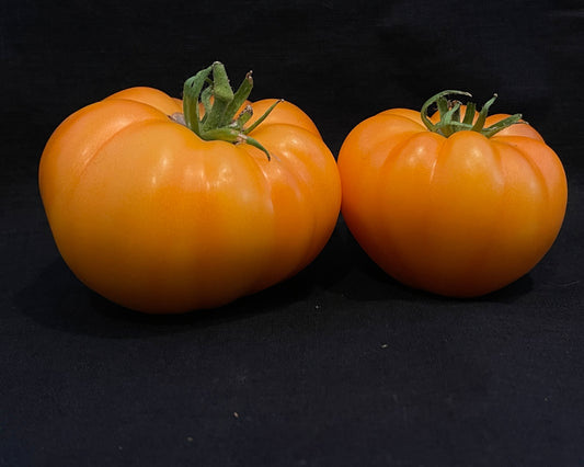 Seeds:‎ Tomato - Persimmon