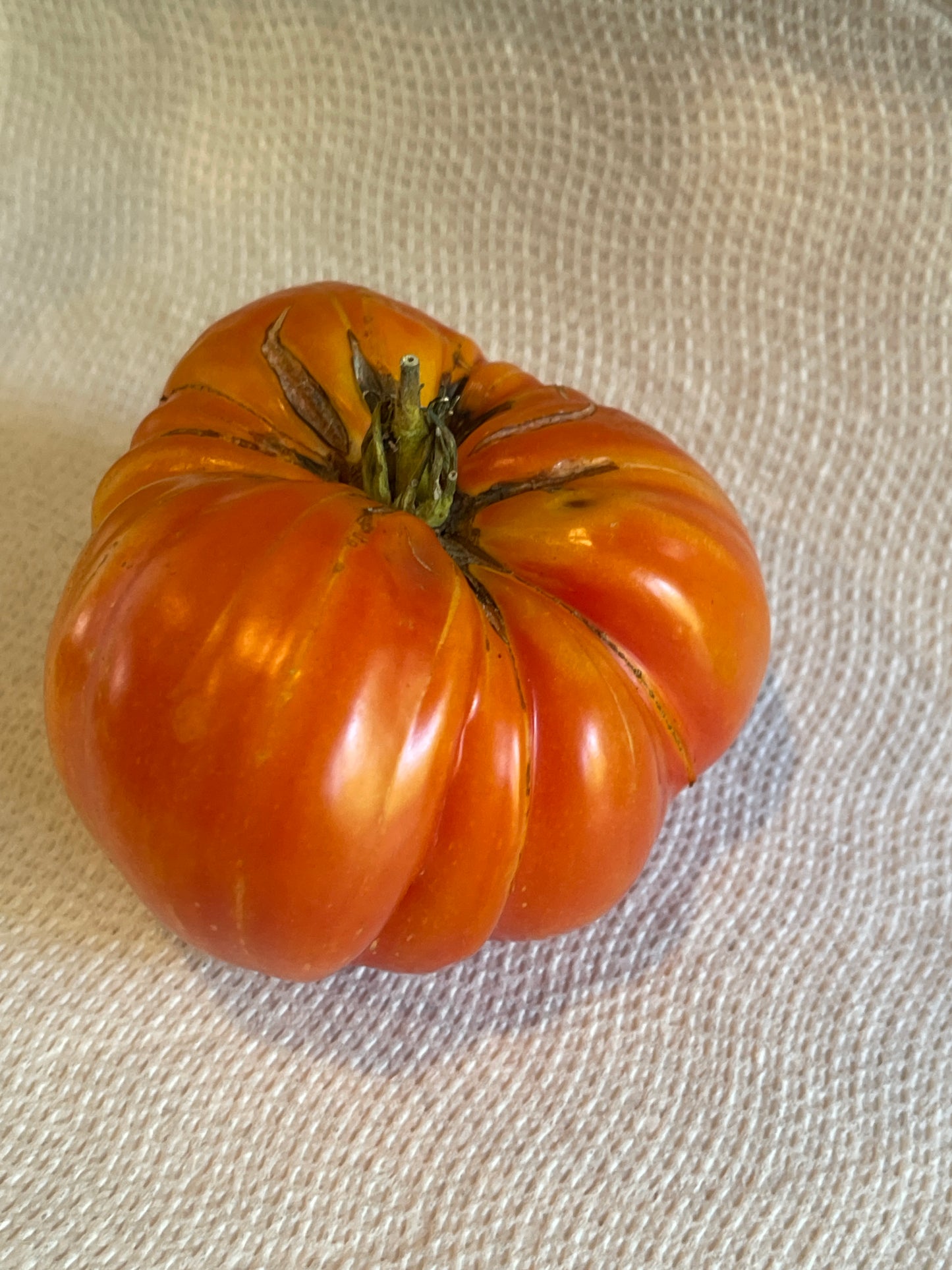 Seeds:‎ Tomato - Pineapple