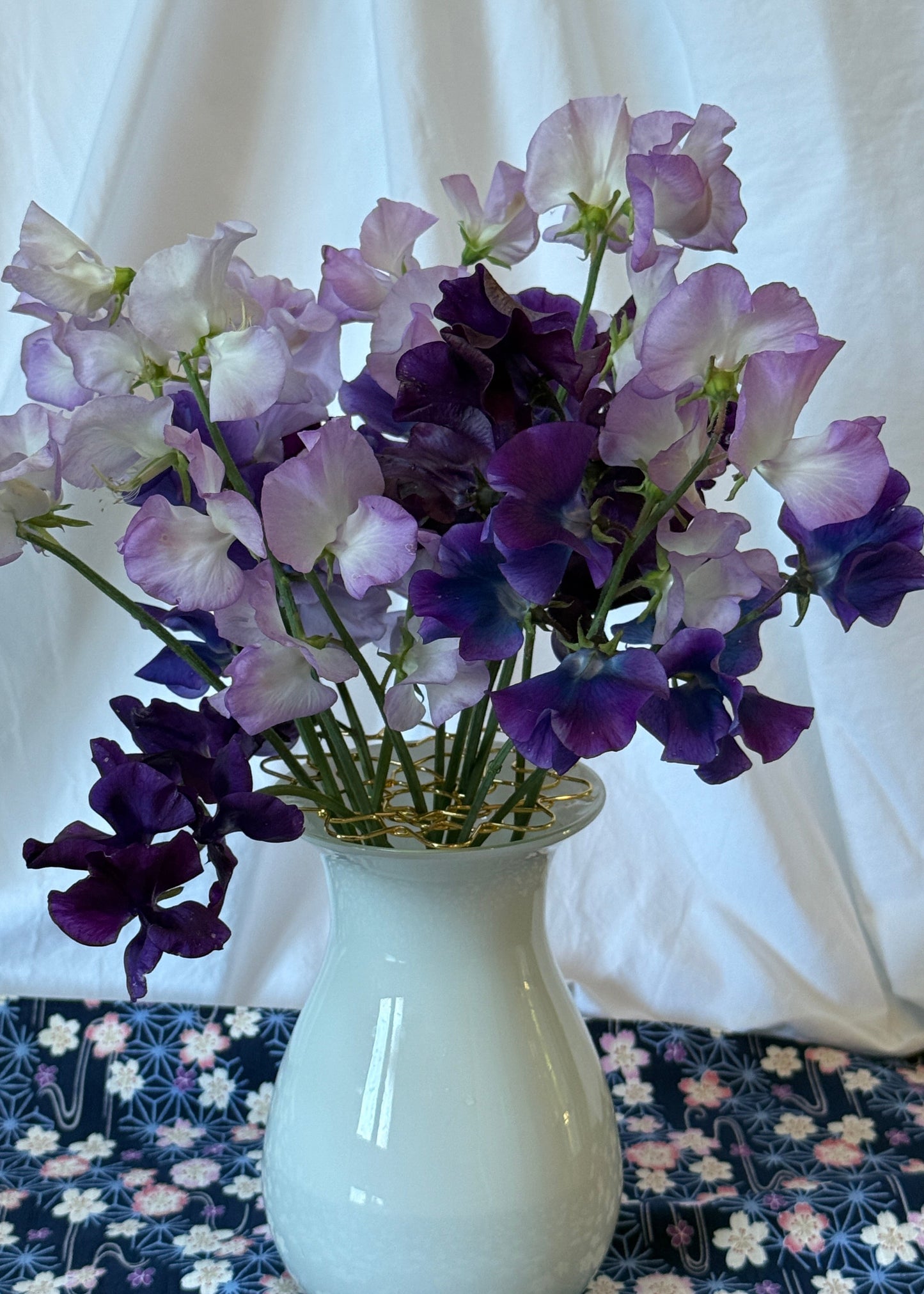 Purple Shades - Sugar Moon Gardens