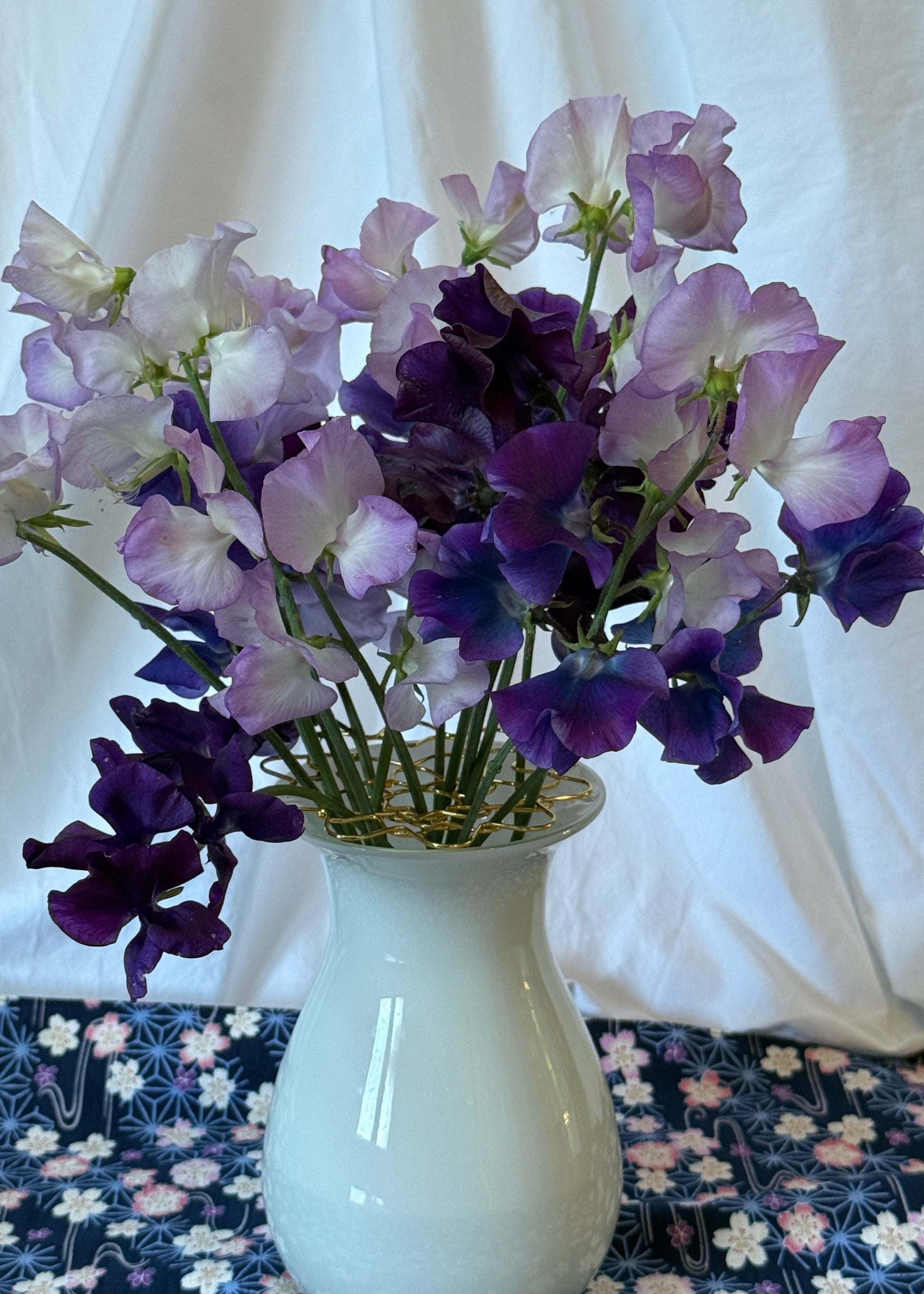 Purple Shades - Sugar Moon Gardens