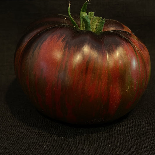 Seeds:‎ Tomato - Rebel Starfigher Dippers Delight