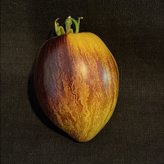 Seeds:‎ Tomato - Rebel Starfigher Kayleigh Ann