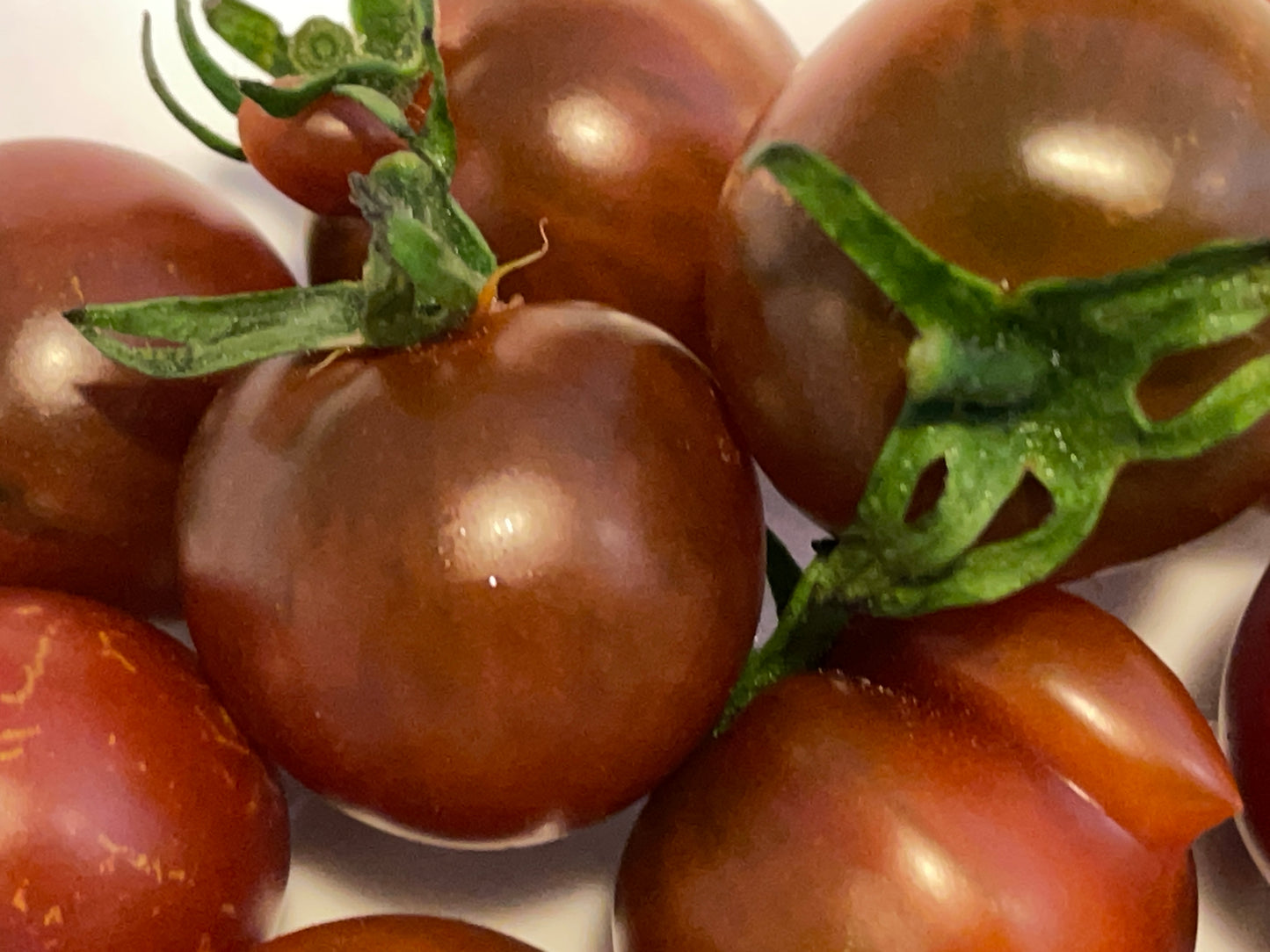 Seeds:‎ Tomato - Reinhard's Purple Sugar (cherry)