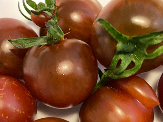 Seeds:‎ Tomato - Reinhard's Purple Sugar (cherry)