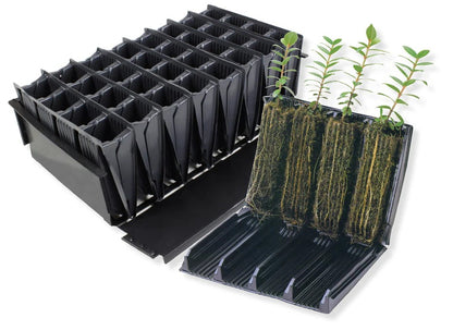 Root Trainers - for starting sweet peas