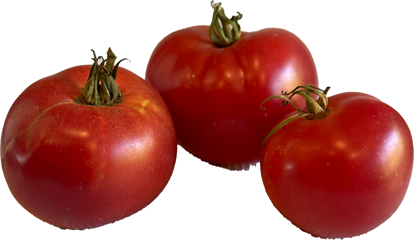 Seeds:‎‎ Tomato - Rose de Berne