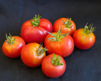 Seeds:‎‎ Tomato - Rose de Berne
