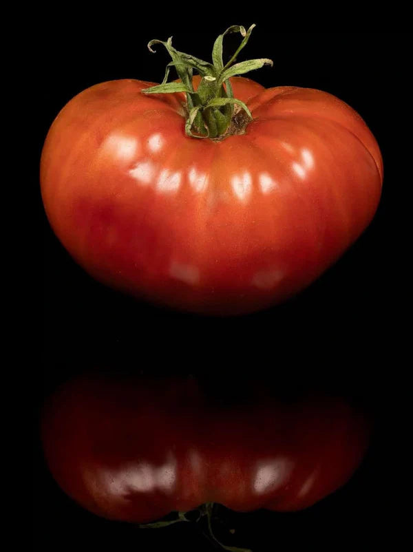 PREORDER:‎‎ Veg Plant:‎‎ Tomatoes - New & Exciting collection