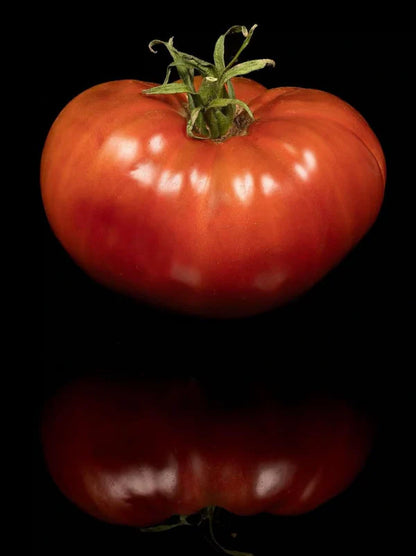 PREORDER:‎‎ Veg Plant:‎‎ Tomatoes - New & Exciting collection