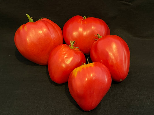 Seeds:‎ Tomato - Siberian Pink Honey