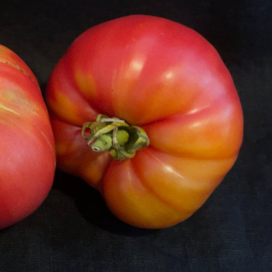 Seeds:‎ Tomato - Sonrojo Monster