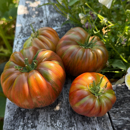 Seeds: Tomato - Suffer Well - Sugar Moon Gardens