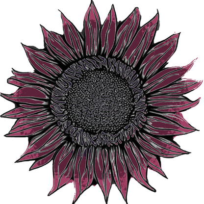 PREORDER: Flower Plants: Sunflowers singles