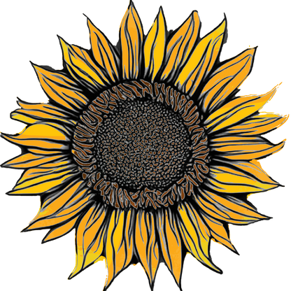 PREORDER: Flower Plants: Sunflowers singles