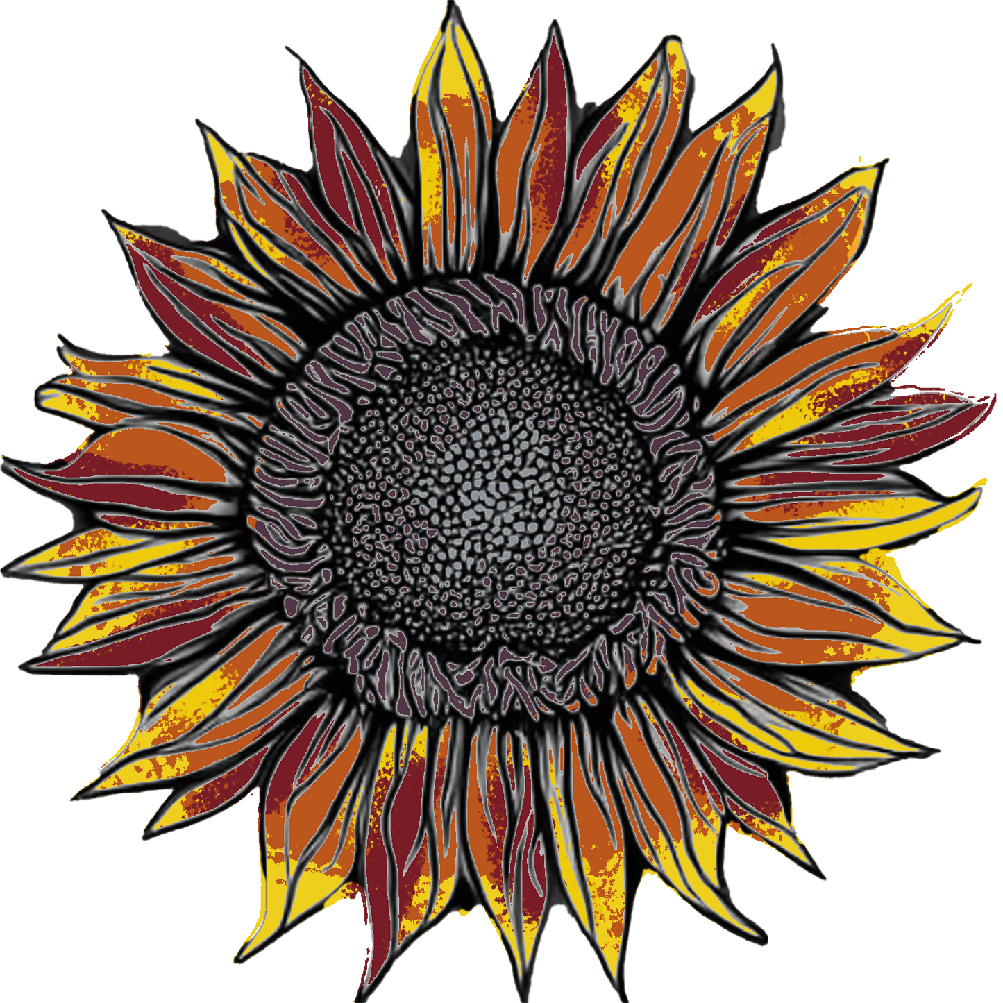 Seeds:‎ Sunflower - Terracotta F1