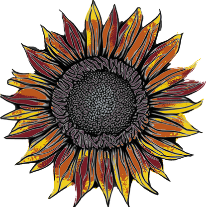 Seeds:‎ Sunflower - Terracotta F1