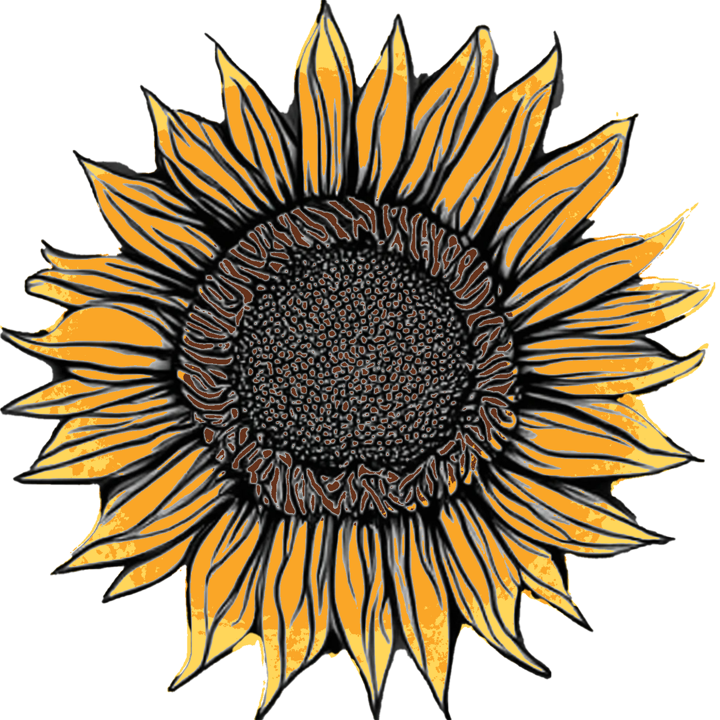 Seeds:‎ Sunflower - Vincent's Choice Brown Disc (F1)
