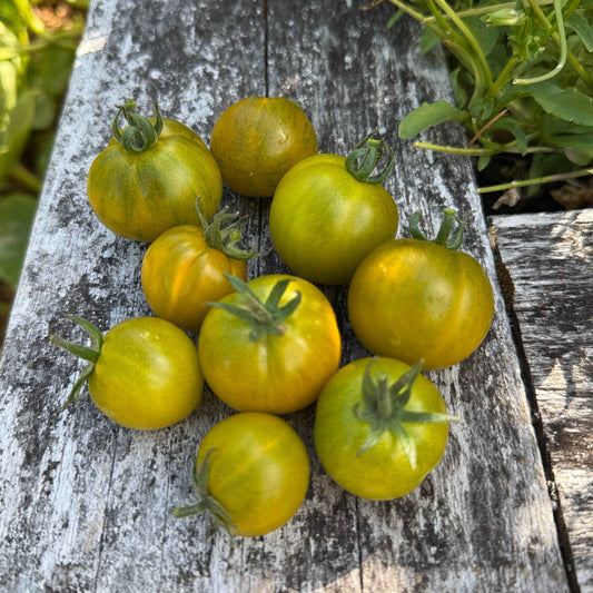 Seeds:‎ Tomato - Sweet Baby Jade