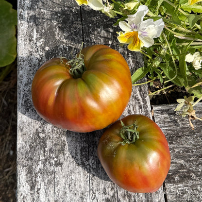 Seeds: Tomato - Taiga - Sugar Moon Gardens